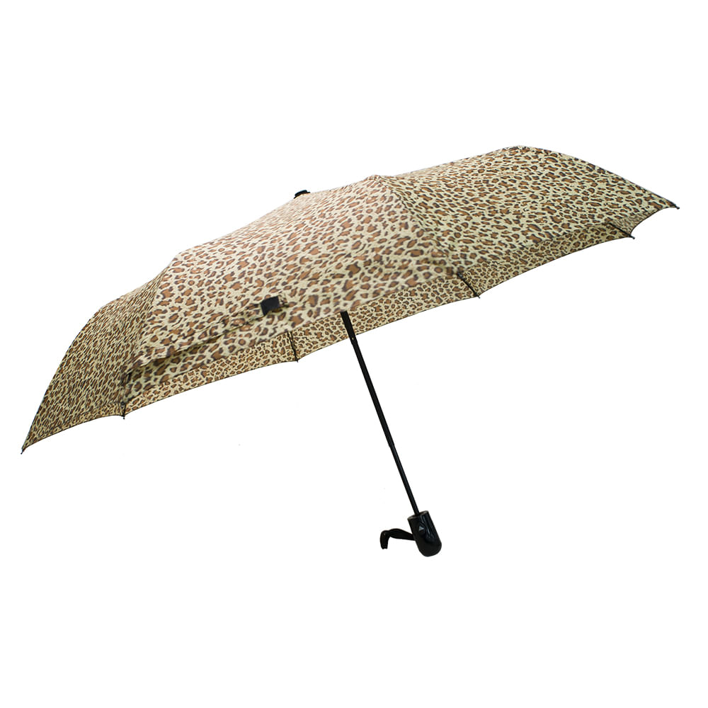 _DSC1598-1_2147086 _DSC1598-1_2147086