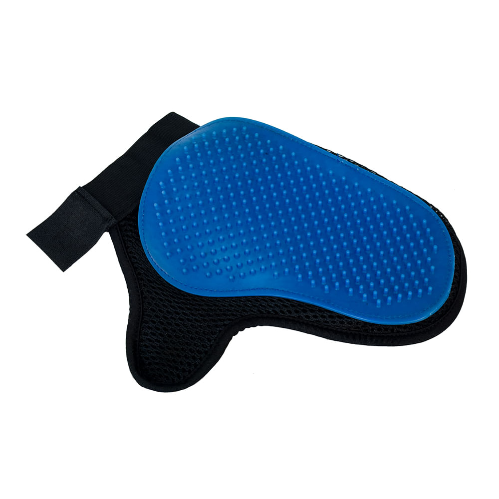 2260381_01 2260381_01