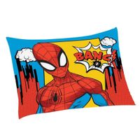 Nivalmix_Fronha_Avulsa_Spider_Man_Lepper_2090640 Nivalmix_Fronha_Avulsa_Spider_Man_Lepper_2090640