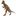 Nivalmix_Figura_Jurassic_World_Pachycephalosaurus_GNH28_Mattel_2198436-003