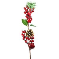 Nivalmix-Galho-Frutos-NTA86072-Rio-de-Ouro-2293986