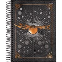 Nivalmix-Caderno-Universitario-1-Materia-Harry-Potter-96-Folhas-Jandaia-2066239