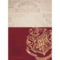 Nivalmix-Caderno-Universitario-1-Materia-Harry-Potter-96-Folhas-Jandaia-2066239-2