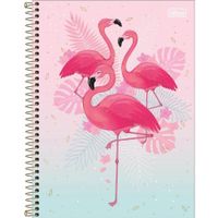 Nivalmix_caderno_aloha_tilibra_2224787