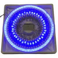Nivalmix-Pisca-Pisca-100-LEDS-Azul-NTL62100A220V-Rio-de-Ouro-2294506