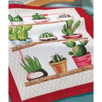 Nivalmix-Pano-de-Copa-Felpudo-Prata-Cactos-Modelo-1-Dohler-2159917-001-2