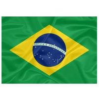 Nivalmix-Bandeira-do-Brasil-ArtBrink-2360520
