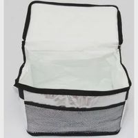 Nivalmix-Bolsa-Termica-13Litros-Prata-SCB0101-Wincy-2363627--2- Nivalmix-Bolsa-Termica-13Litros-Prata-SCB0101-Wincy-2363627--2-