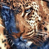 Nivalmix-Manta-Microfibra-Dyuri-Mix-Casal-Estampa-15-Jolitex-1816691-015--1- Nivalmix-Manta-Microfibra-Dyuri-Mix-Casal-Estampa-15-Jolitex-1816691-015--1-