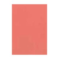 -Nivalmix-Placa-EVA-Liso-Salmao-600x450mm-Eduart-447941 -Nivalmix-Placa-EVA-Liso-Salmao-600x450mm-Eduart-447941