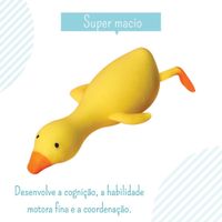 nivalmix-Patinho-Estica-e-Puxa-831758-Art-Brink--3-Resultado nivalmix-Patinho-Estica-e-Puxa-831758-Art-Brink--3-Resultado