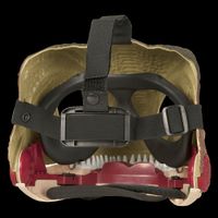 Nivalmix-Mascara-Dino-Ataque-Furioso-Tirano-Mask-ZP01066-Zoop-Toys-2457318-4 Nivalmix-Mascara-Dino-Ataque-Furioso-Tirano-Mask-ZP01066-Zoop-Toys-2457318-4