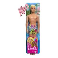 Nivalmix-Barbie-Praia-Ken-HDC50-GHH38-Modelo-3-Mattel-2393072-003-5