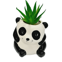 Nivalmix-Vaso-de-Ceramica-com-Arranjo-Artificial-Panda-9cm-Western-2460776-1