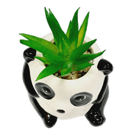 Nivalmix-Vaso-de-Ceramica-com-Arranjo-Artificial-Panda-9cm-Western-2460776-3