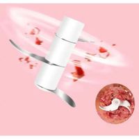 Nivalmix-Mini-Processador-de-Alimentos-250ml-USB-N244331-7-Quanhe-2443317-4