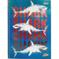 Nivalmix-Caderno-Univ.-10-Materias-200Fls-D-Mais-Capa-25-Tilibra-1937071-025-1.jpg Nivalmix-Caderno-Univ.-10-Materias-200Fls-D-Mais-Capa-25-Tilibra-1937071-025-1.jpg