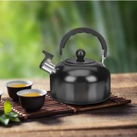 Nivalmix-Chaleira-de-Inox-21-Litros-N2443200-Preto-Quanhe-2443200-001-4.jpg