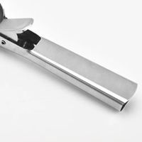 Nivalmix-Pegador-de-Sorvete-19-cm-N248728-3-Quanhe-2487283-3