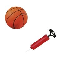 Nivalmix-Kit-de-Basquete-Divertido-Pro-4541-Pica-Pau-2498372-1