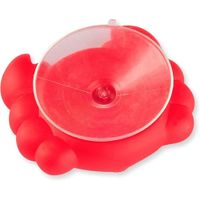 Nivalmix-Brinquedo-Primeiros-Passos-Hora-do-Banho-ZP00566-Zoop-Toys-2501869-1