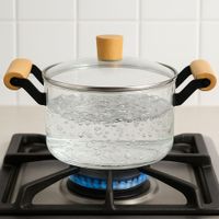 Nivalmix-Panela-de-Vidro-Borossilicato-2,5L-com-Alca-Madeira-Quanhe-2490715-5 Nivalmix-Panela-de-Vidro-Borossilicato-2,5L-com-Alca-Madeira-Quanhe-2490715-5