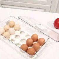 Nivalmix-Organizador-Geladeira-Porta-Ovos-31,5x16,x7-cm-Quanhe-2487491-2