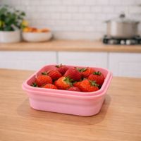 Nivalmix-Kit-de-Potes-em-Silicone-Retratil-4-Pecas-Rosa-Quanhe-2443291-002-1