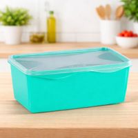 Nivalmix-Organizador-Multiuso-Retangular-1.5ML-02-Verde-Claro-Top-Line-2126585-005