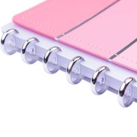 Nivalmix-Caderno-de-Disco-Grande-80-FLS-Listral-Rosa-02-DK21E320-Disko-2514310