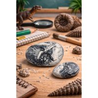 Nivalmix-Borracha-Escolar-Fossil-de-Dinossauro-Cor-3-910684-Tris-2511515-003