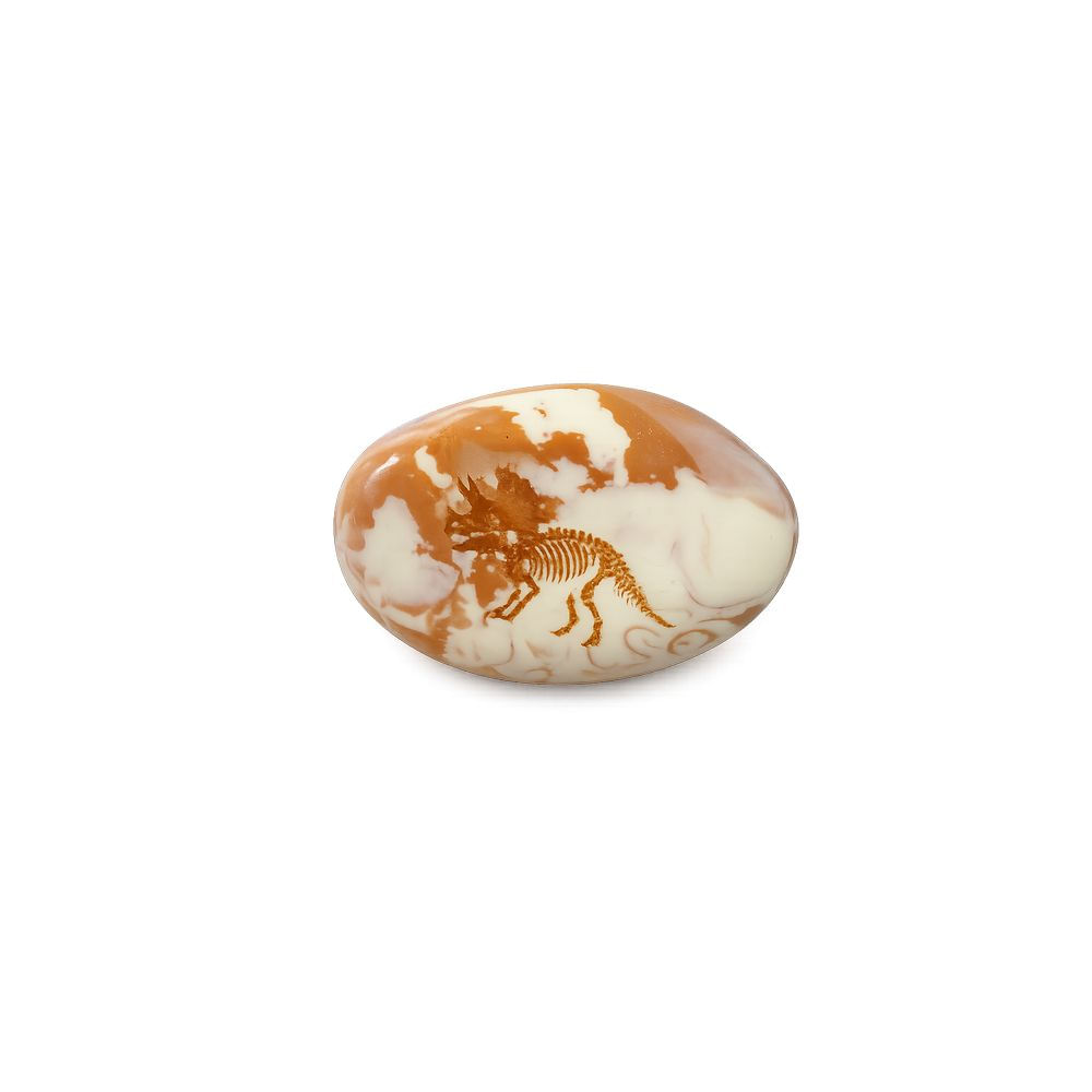 Nivalmix-Borracha-Escolar-Fossil-de-Dinossauro-01-Cor-1-910684-Tris-2511515-001 Nivalmix-Borracha-Escolar-Fossil-de-Dinossauro-01-Cor-1-910684-Tris-2511515-001