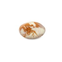 Nivalmix-Borracha-Escolar-Fossil-de-Dinossauro-01-Cor-1-910684-Tris-2511515-001