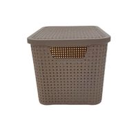 Nivalmix-Micro-Caixa-Organizadora-Rattan-3.5L-Bege-Monte-Libano-2316320-004-2