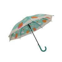 Nivalmix-Guarda-Chuva-Infantil-Capivara-Verde-N249197-6-Quanhe-2491976-004-1