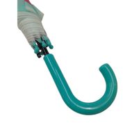 Nivalmix-Guarda-Chuva-Infantil-Capivara-Verde-N249197-6-Quanhe-2491976-004-3