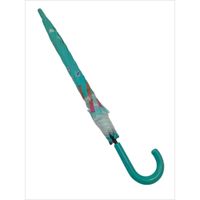 Nivalmix-Guarda-Chuva-Infantil-Capivara-Verde-N249197-6-Quanhe-2491976-004-4