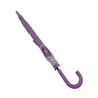 Nivalmix-Guarda-Chuva-Infantil-Capivara-Lilas-N249197-6-Quanhe-2491976-001-2