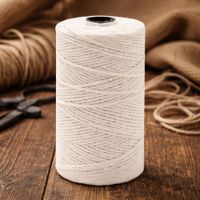 Nivalmix-Barbante-Cru-4-Fios-Rolo-com-100GR-152M-Eurofios-2510319-4