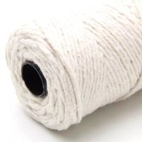 Nivalmix-Barbante-Cru-8-Fios-Rolo-com-100GR-76M-Eurofios-2510345-4