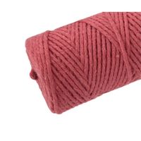 Nivalmix-Barbante-Escolar-Sortido-8-Fios-100GR-76M-Cor-2-EuroRoma-2510358-002-4