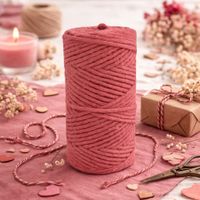 Nivalmix-Barbante-Escolar-Sortido-8-Fios-100GR-76M-Cor-2-EuroRoma-2510358-002-3