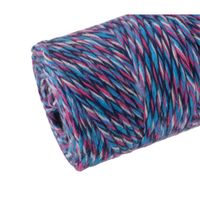 Nivalmix-Barbante-Escolar-Sortido-8-Fios-100GR-76M-Cor-3-EuroRoma-2510358-003-3