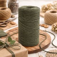 Nivalmix-Barbante-Escolar-Sortido-8-Fios-100GR-76M-Cor-5-EuroRoma-2510358-005-4