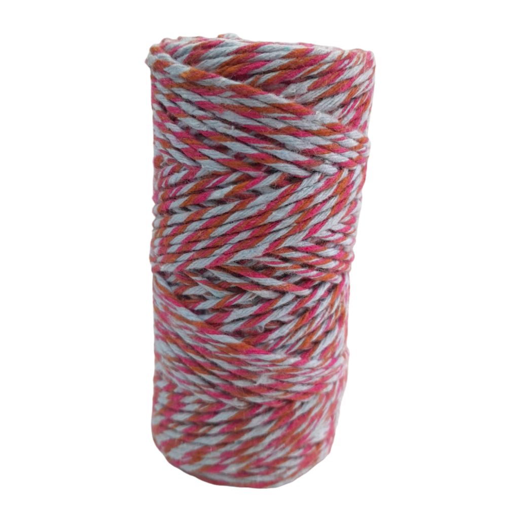 Nivalmix-Barbante-Escolar-Sortido-8-Fios-100GR-76M-Cor-6-EuroRoma-2510358-006-1 Nivalmix-Barbante-Escolar-Sortido-8-Fios-100GR-76M-Cor-6-EuroRoma-2510358-006-1