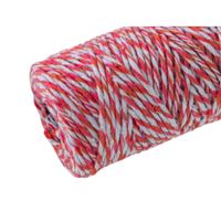 Nivalmix-Barbante-Escolar-Sortido-8-Fios-100GR-76M-Cor-6-EuroRoma-2510358-006-4