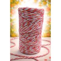 Nivalmix-Barbante-Escolar-Sortido-8-Fios-100GR-76M-Cor-6-EuroRoma-2510358-006-5