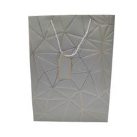 Nivalmix-Sacola-Embalagem-Presente-Grande-Cinza-N249202-8-Quanhe-2492028-002-1