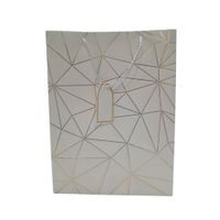 Nivalmix-Sacola-Embalagem-Presente-Grande-Branco-N249202-8-Quanhe-2492028-001-1