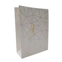 Nivalmix-Sacola-Embalagem-Presente-Grande-Branco-N249202-8-Quanhe-2492028-001-4